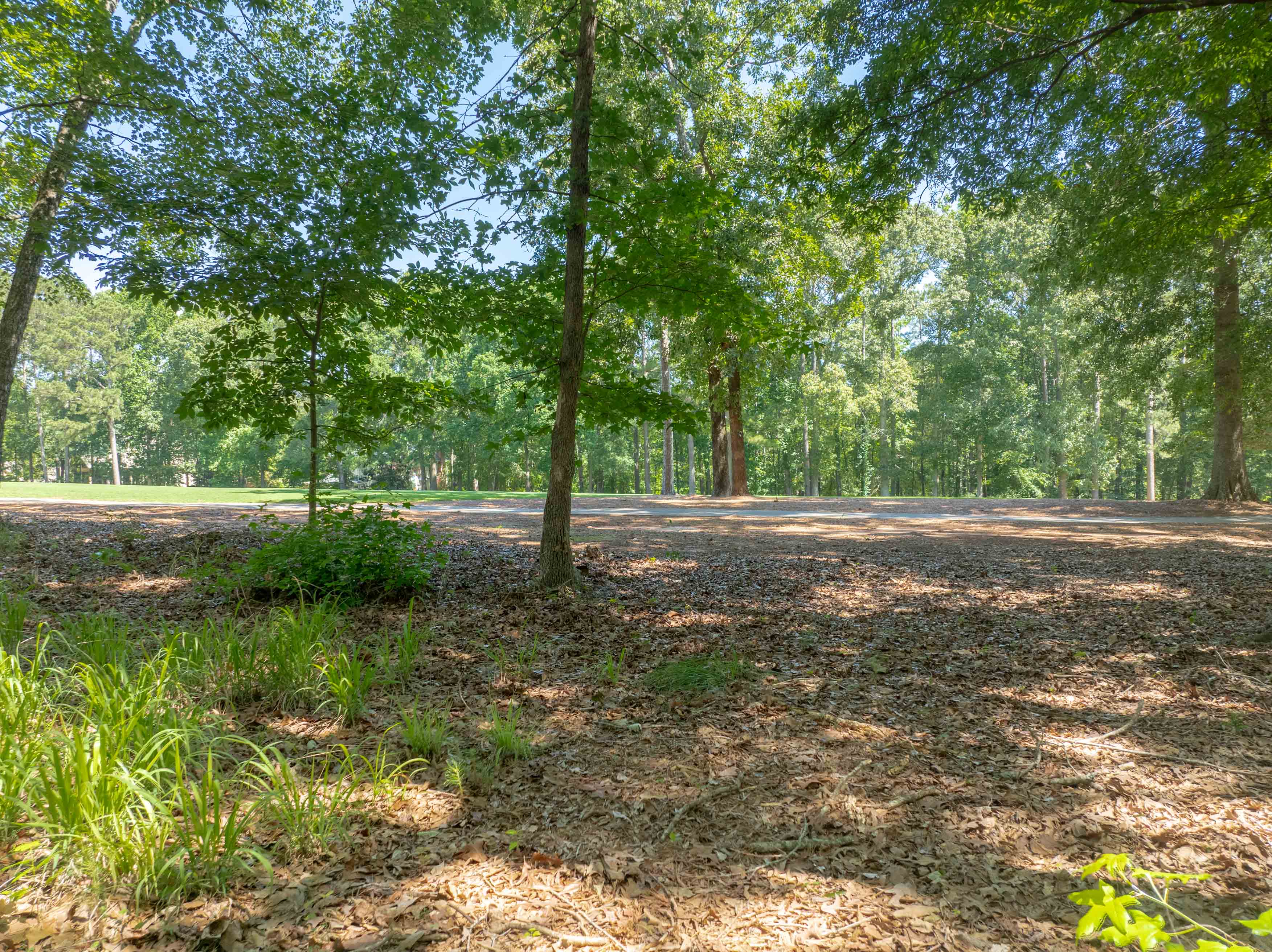 381 Reynolds Drive image 4